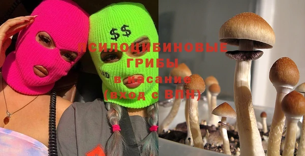 спиды Алзамай
