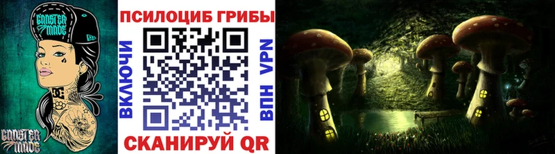 как найти закладки  Лесной  Галлюциногенные грибы Psilocybe 